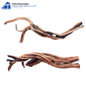 Décoration d'aquarium en bois flotté naturel Thanh Tung Thinh, forme irrégulière, écologique, bois pour aquarium en provenance du Vietnam - Product Image 5