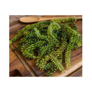 Caviar frais professionnel en gros pour hôtels 5 étoiles et événements de restauration exclusifs - Product Image 5