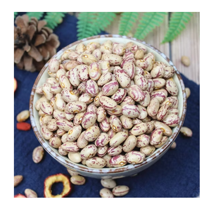 Frijoles Pinto Secos de Alta Calidad / Frijoles Ligeros con Motas Disponibles para la Venta a Bajo Precio - Product Image 6
