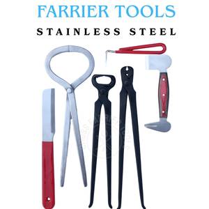 Kit d'outils de fermeur équin avec testeur de douleur au sabot, couteau à sabots, coupe-ongles noir, extracteur de clous, polisseur double face et outil de ramassage - Product Image 5