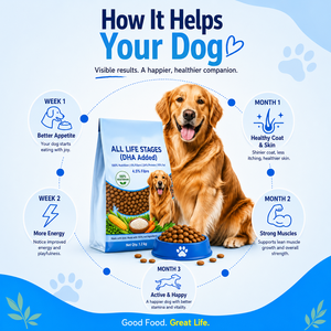 Gránulos Naturales Secos para Perros y Gatos, Apoyo Inmunológico, Calidad Premium, Nutrición Completa, Fabricante OEM ODM, Suministro a Granel, Empaque Personalizado - Product Image 4