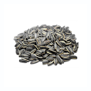 Semillas de girasol a granel de alta calidad listas para suministro en grandes cantidades - Product Image 6