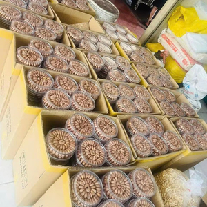 เม็ดมะม่วงหิมพานต์อบธรรมชาติเพื่อสุขภาพจากเวียดนาม - ไม่ใส่เกลือ ไม่ใส่น้ำมัน - คุณภาพส่งออก - จำหน่ายแบบขายส่ง - จัดส่งทั่วโลก - Product Image 5