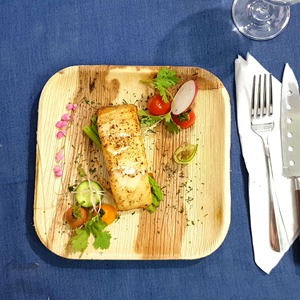 Square Palm Leaf <b>Disposable</b> <b>Plates</b> Eco-Friendly Biodegradable Compostable Dishwasher Safe Freezer Safe Takeaway Casual Style - Product Image 5