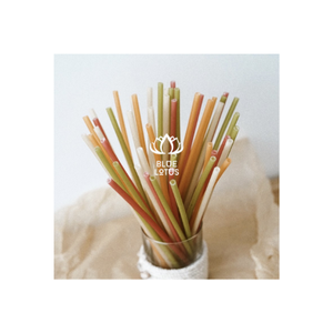 OFFRE LIMITÉE Pailles Comestibles Écologiques en Farine de Riz 2026, 100% Végétales, Idéales pour Boissons Froides et Fêtes, à Boire Directement - Product Image 1