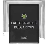 Poudre blanche de probiotiques Lactobacillus Bulgaricus de marque IGC, 5 à 100 milliards UFC/g, soutien immunitaire, soins de santé, fabriqué en Maharashtra, sous film.