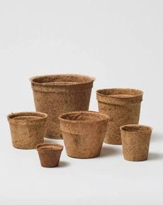 Bulk Natural Coconut Coir <b>Planting</b> <b>Pots</b> for Garden Centers Nurseries and Agricultural Distributors - Product Image 2
