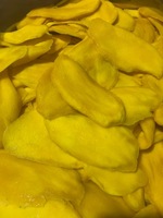 1Kg Zachte Gedroogde Mango Met Vietnamese Verse Mango