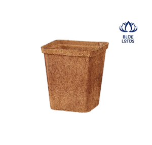 BLOE LOTOS Coir <b>Square</b> <b>Planter</b> Biodegradable Eco-Friendly Durable Rustic Design Vintage Classic for Garden Flower Green Plant - Product Image 1