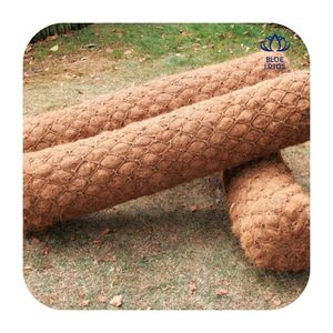 [VENTA EXITOSA] |   Tronco de Coco para Proyectos en Riberas, Retención de Sedimentos y Refuerzo del Suelo, Vietnam - Product Image 1