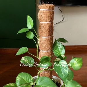 Pot de fleurs en fibre de coco écologique, classique, vintage, chromé, biodégradable, léger, pour extérieur, de Eco2go Vietnam - Product Image 3