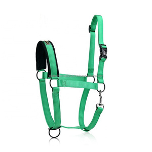 High Quality Horse <b>Nylon</b> Halter with Soft Mesh Padding and Iron <b>Hook</b> Plastic <b>Hook</b> Adjustable - Product Image 3