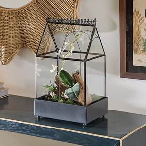 Terrario Pequeño Personalizado de Metal y Vidrio Negro, Macetero Moderno de Vidrio para Plantas de Interior, Suculentas, Plantas Aéreas y Terrarios DIY - Product Image 4