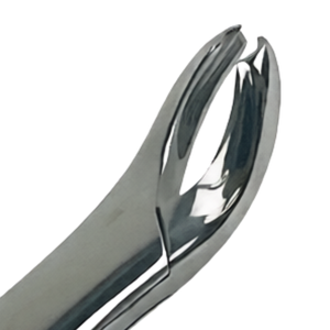 Forceps d'extraction dentaire # Instrument d'extraction dentaire pour molaires inférieures 17, en acier inoxydable, outil chirurgical ergonomique à poignée manuelle, certifié CE - Product Image 4
