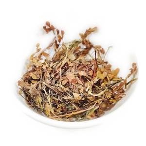 Maidenhair-Farn, ganze getrocknete Kräuter, Adiantum capillus-veneris, Patil Foods India - Product Image 1