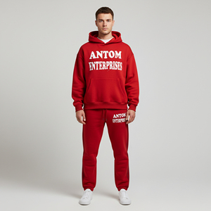 Vente flash : Survêtements pour hommes, coupe classique, à capuche, décontractés, unis, 100% coton, poids lourd 460g, respirants, excellente qualité, hiver - Product Image 2