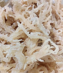 Alga Marina Vietnam Cottonii de Alta Calidad, Material Vegetal Marino Seco para la Producción de Espesante y Estabilizador Alimentario - Product Image 2