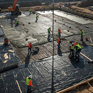 Rollo de Lámina de Plástico LDPE Negro de 200um para Construcción, Fabricado en Vietnam, con Impresión Offset para Compradores - Product Image 3