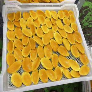 Mango Congelado IQF al por Mayor - Paquete a Granel - Suministro de Fábrica - Product Image 1