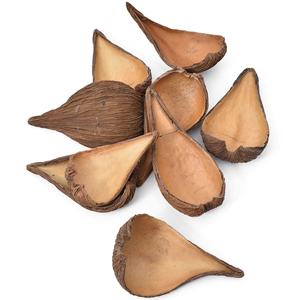 Vainas de Semillas Botánicas Naturales de Alta Calidad para Potpourri, Arreglos Florales, Decoración de Acuarios, etc., Llamadas Pradip Pods - Product Image 2