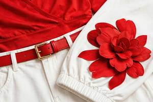 Women Red V Neck Long Sleeve Crop <b>Top</b> <b>White</b> Floral Pants 2 Piece <b>Set</b> - Product Image 5