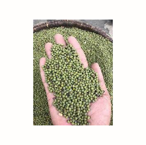 Frijoles de Bambú Verdes Procesados con Cuidado para Máxima Frescura y Larga Duración - Product Image 6