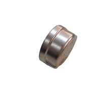 Tapa de Tubería de Acero Inoxidable Chico de Alta Calidad de 2-1/2 Pulgadas, 1 Año de Garantía, Embalaje Personalizado OEM/ODM, MOQ 100 Piezas para Diversas Industrias
