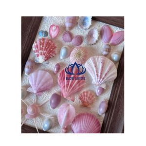 Artisanat de haute qualité en coquillages naturels |   Ensemble d'accessoires robustes et écologiques pour coque de téléphone - Product Image 1