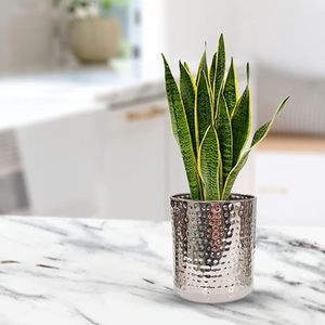 Pot de fleurs en acier inoxydable de haute qualité pour la décoration de la maison, résistant à la rouille, pour plantes d'intérieur et d'extérieur, pour la chambre, le bureau, la table, finition argentée - Product Image 2