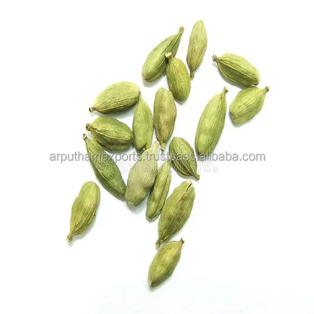 인도 대량 주문 녹색 카 다몬 씨앗