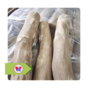 HIGH QUALITY Natural Coffee Wood For Dog Chew Stick Sustainable Eco-Friendly Pet Toy for Aggressive Chewers Teeth Cleaning - Product Image 1