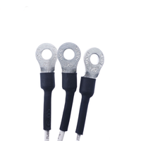 Sensor de Temperatura NTC 5k 10k 15k 20k 3950 3435 con Carcasa de Acero Inoxidable para Hervidor de Agua Eléctrico