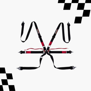 TBRACING ULTRA-D Harnais de course 6 points 2 pouces FIA 8853-2016, fabrication OEM, brevet taïwanais, super léger, impression de logo, finition lisse - Product Image 1