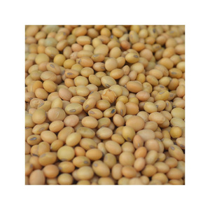 ถั่วเหลืองสีเหลืองคุณภาพสูงเกรดพรีเมียมสำหรับส่งออกอาหาร - Product Image 1