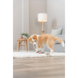 Giocattolo da Masticare per Animali Domestici in Pelle/Corda a Forma di Drago, 55 cm - Product Image 4