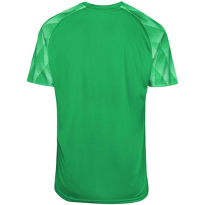 เสื้อฟุตบอลคอวีสีเขียวแบบยูนิเซ็กซ์สั่งทำพิเศษ แขนสั้น ระบายเหงื่อได้ดี ผลิตจากโพลีเอสเตอร์ 100% ทรงปกติสำหรับผู้ใหญ่ - Product Image 2