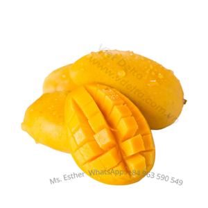 ผลไม้เขตร้อนมะม่วงอบแห้งแบบนิ่มในเวียดนาม - Product Image 4