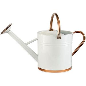 บัวรดน้ำโลหะแบบดั้งเดิมสำหรับใช้ในสวน แข็งแรง ทนทาน พร้อมเคลือบป้องกันสนิม ปากบัวยาว ใช้งานง่าย - Product Image 1