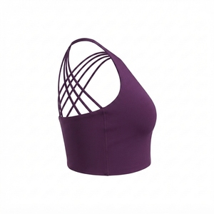 Sujetador Deportivo Personalizado para Mujer, Transpirable, que Absorbe la Humedad, para Fitness, Fabricante de Ropa OEM ODM - Product Image 5