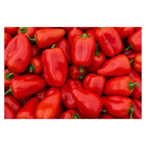 Poivron rouge de première qualité cultivé sous des pratiques agricoles contrôlées pour les marchés d'exportation internationaux - Product Image 3