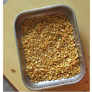 Chana Dal Orgánico de Exportación India, Bengal Gram Pulido y Procesado Cuidadosamente para una Calidad de Cocción Consistente, Paquetes a Granel - Product Image 2