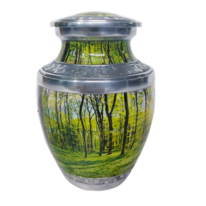 Urna de bosque para cenizas de adultos 200 Cubic Human Warm and Loving Lugar de descanso final para seres queridos Suministros funerarios - Product Image 1