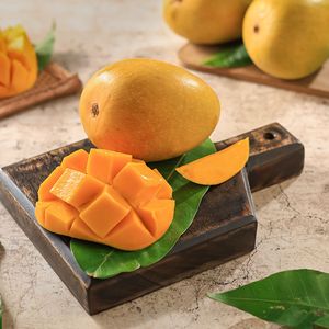 มะม่วงสดขายดี ราคาโรงงาน คุณภาพพรีเมียม หวานฉ่ำ ผลไม้เขตร้อนธรรมชาติ เกรดส่งออก ผู้จัดจำหน่ายมะม่วงสด - Product Image 1