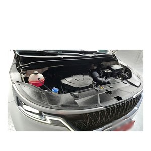 Para Kia Carnival Prestige de 9 Plazas, Modelo Marzo 2021, 64,893 km, Estándar de Emisiones Euro V, Diésel, Caja de Cambios Automática, Asientos de Cuero - Product Image 6