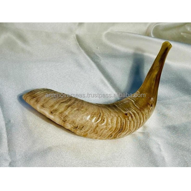 ธรรมชาติ