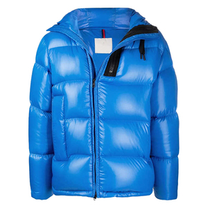 Chaqueta Acolchada Personalizada con Logotipo, Color Azul, Dos Bolsillos Laterales, Capucha Clásica, Manga Larga, para Hombre, Otoño, Casual, Cuello Alto - Product Image 1