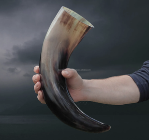 Cuernos de vaca de alta calidad Cuernos de bebida vikingos Alimentos seguros para beber Precios de uso por Indian Manufacturing Company - Product Image 1