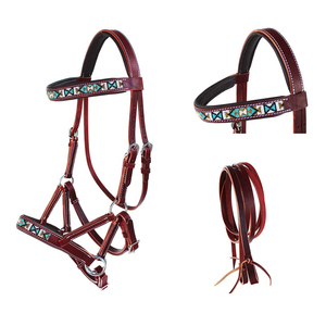 Brida de Cuero Premium para Caballo con Diadema y Correa de Nariz con Cuentas Hechas a Mano - Set de Arreos Western de Lujo FHS BRA003 - Product Image 1