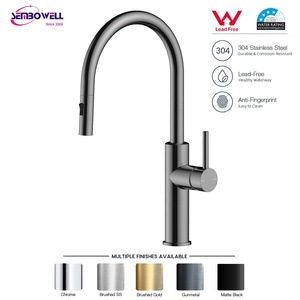 Rubinetto da <span class=keywords><strong>Cucina</strong></span> Estraibile in Acciaio Inox 304 Senza Piombo, <span class=keywords><strong>Miscelatore</strong></span> per Lavello Acqua Calda e Fredda, OEM, Disponibile in Diversi Colori - Product Image 1
