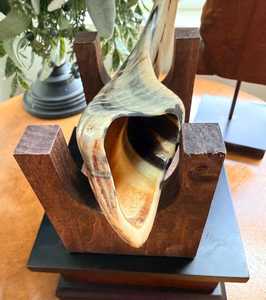 High Quality Natural Rams Horn Shofar <b>9</b> inches with Wooden Stand | best ram horn shofar for beginners - Product Image 4